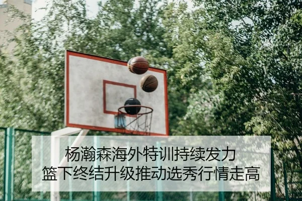 杨瀚森海外特训持续发力 篮下终结升级推动选秀行情走高 | HTHSports
