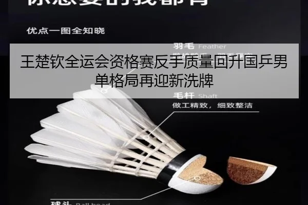王楚钦全运会资格赛反手质量回升国乒男单格局再迎新洗牌 | HTHSports